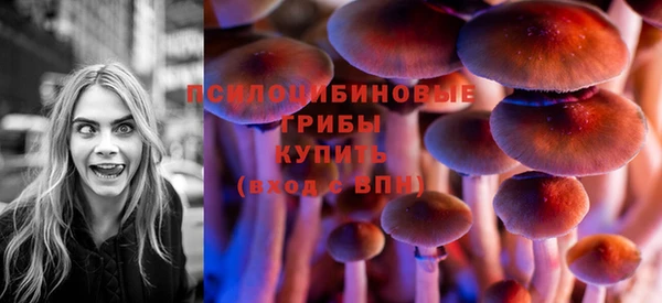 дмт Вязьма