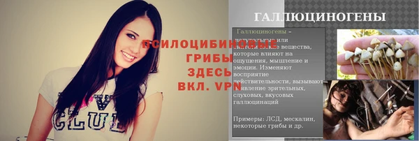 a pvp Вяземский