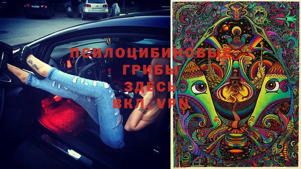 a pvp Вяземский