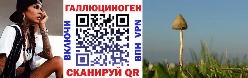 Псилоцибиновые грибы Psilocybe  что такое наркотик  Белгород 