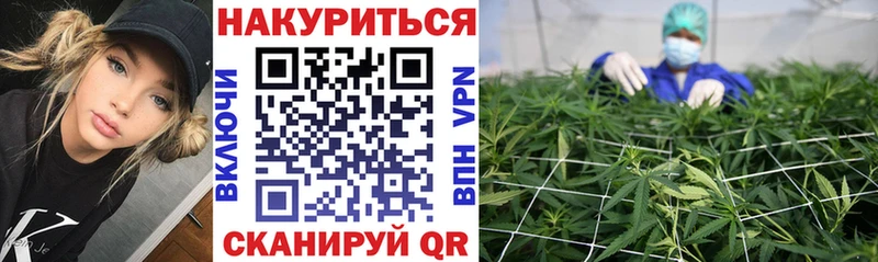 Бошки марихуана Amnesia  где купить наркоту  Белгород 
